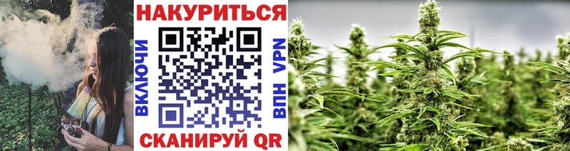 Конопля OG Kush  Саранск 